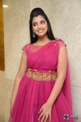 Anchor Syamala at Speedunnodu Movie Platinum Disc Function